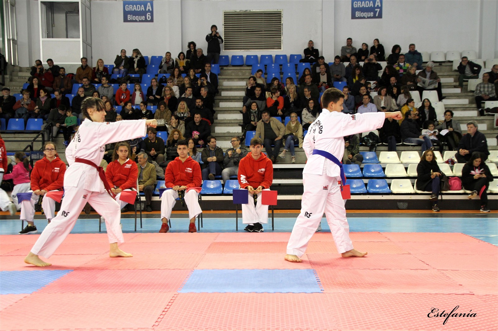 Taekwondo (168).jpg